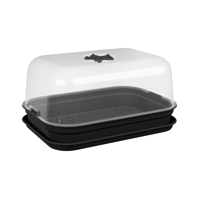 green basics grow set m living black